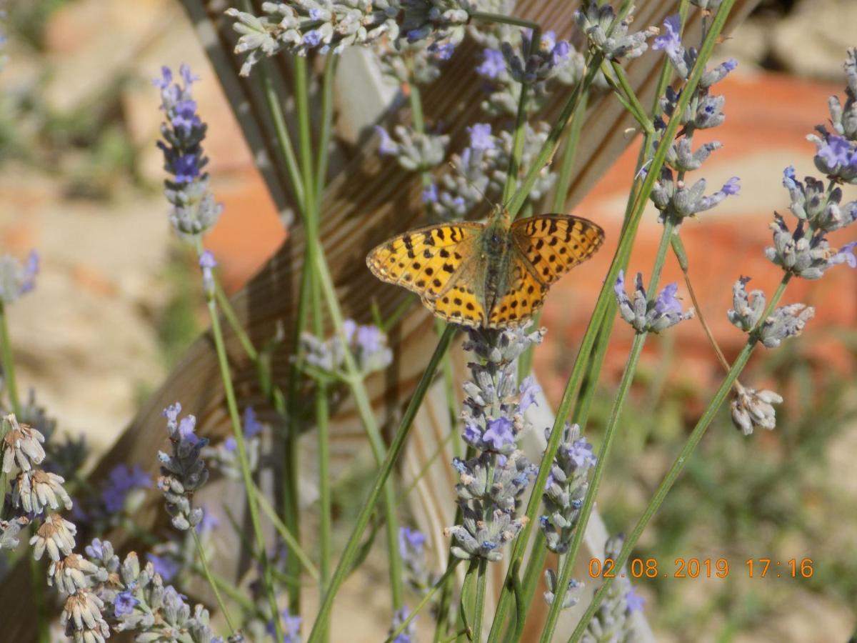 Villa Les Papillons Vrolle Esterno foto